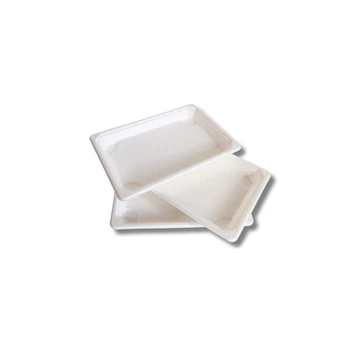 Papírtálca 185 x 128 x 20mm komposztálható cukornád 50 db/csomag